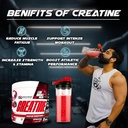 dc-doctors-choice-creatine-monohydrate-3-81CnXHltqeL.jpg