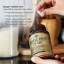 solgar-gentle-iron-non-capsule-180-capsu-71HHMshDGkL.jpg