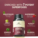 rasayanam-plant-based-vitamin-b12-100-ve-71TJbj4G3aL.jpg