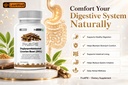 leewell-dgl-licorice-root-extract-capsul-71K1XZnfcXL.jpg