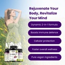 setnutra-trans-resveratrol-800mg-with-qu-619k5LfKVhL.jpg