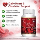 anc-cardizoom-with-arjuna-extract-moring-61qkssw2+CL.jpg