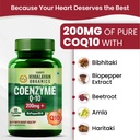 vlado-s-himalayan-organics-coq10-200mg-w-71r3ST3ZlZL.jpg