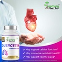 humming-herbs-quercetin-with-resveratrol-810JfLSc+uL.jpg