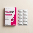 shuban-collanergy-tablet-uc-ii-undenatur-61BOiA2q6xL.jpg