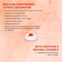 nutricharge-view-supports-and-maintains--61sLEdlsDQL.jpg