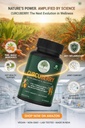 vital-life-curcumin-sea-buckthorn-berry--71u+rLplbHL.jpg