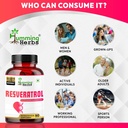 humming-herbs-resveratrol-900mg-per-serv-812Wb2AQdtL.jpg
