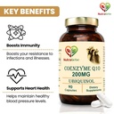 pqq-coenzyme-q10-ubiquinol-200mg-bundle--61erNrz8vgL.jpg