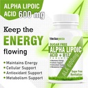 alpha-lipoic-acid-600mg-ala-with-vitamin-615YGfiMJZL.jpg