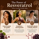 youth-guard-renova-herbal-supplement-wit-71kLYMwj6dL.jpg