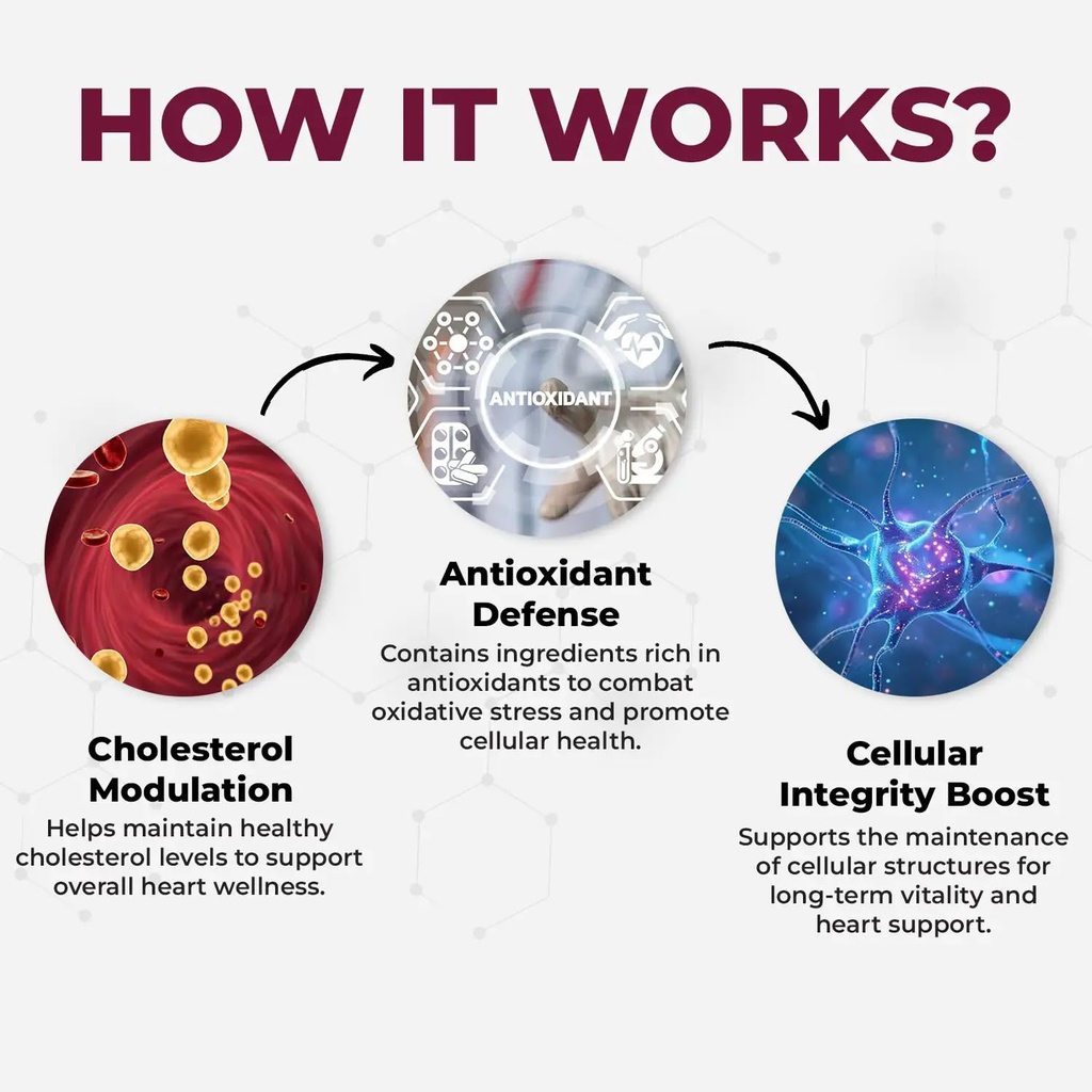 muditam-ayurveda-heart-defend-pro-heart--71r3vbIlQWL.jpg