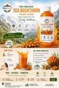himnectar-himalayan-sea-buckthorn-pulp-c-71srTSu7OOL.jpg