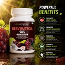 alpspure-nutra-resveratrol-98-grape-skin-71ag1B4V3tL.jpg