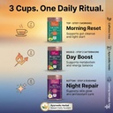 truenirvana-21-day-wellness-tea-combo-pa-81WriByyKwL.jpg