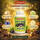 jamun-gond-natural-jamun-resin-for-diges-71qcA0XsT0L.jpg