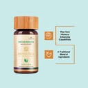 neurosolve-brain-support-supplement-ayur-51QELcz7ksL.jpg