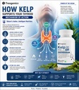 trexgenics-kelp-extract-super-greens-thy-71IAzT1m3RL.jpg