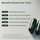 seed-ds-01-daily-synbiotic-adult-probiot-81n2v+f6+dL.jpg