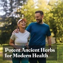 shudh-online-safed-musli-ashwagandha-kau-71qcnDEt9bL.jpg