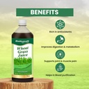 baidyanath-ayurved-wheatgrass-juice-1-li-71HEy+u27EL.jpg