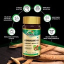 zandu-ashwagandha-60-veg-caps-100-pure-a-711Bz7NtwbL.jpg