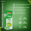 baidyanath-amla-juice-pitta-balancing-im-61ldA63u98L.jpg