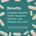 webber-naturals-probiotics-high-potency--5.jpg