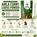 natural-amla-curry-leaf-leaves-powder-pl-712d9HJ8RkL.jpg