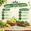 natural-amla-curry-leaf-leaves-powder-pl-71Ht+ZxghBL.jpg