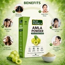 amla-powder-for-hair-growth-200gm-ideal--71Suf4VUqHL.jpg