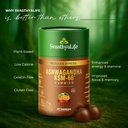 ashwagandha-ksm-66-gummies-stress-anxiet-61ODpgGL42L.jpg