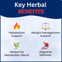 keto-america-herbal-wellness-capsules-gr-71M3wIR+-bL.jpg