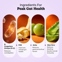 what-s-up-wellness-daily-burner-capsules-61QiwVqDrcL.jpg