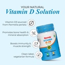 nutrela-by-patanjali-combo-vitamin-b12-p-61n2N3OwfOL.jpg