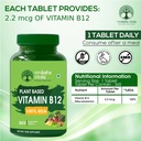 vruksha-vitals-vitamin-b12-100-rda-lab-t-811Se+nvZAL.jpg
