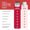 bigmuscles-nutrition-creatine-monohydrat-61YMCICU9lL.jpg