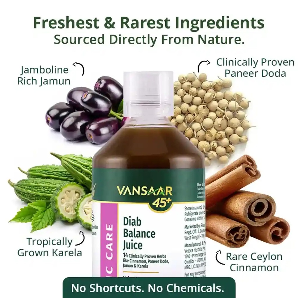vansaar-45-diab-balance-juice-1l-ayurved-81SPFmGCLWL.jpg