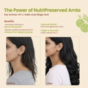 nat-habit-100-pure-amla-powder-125g-phyl-61vV6ViTJFL.jpg