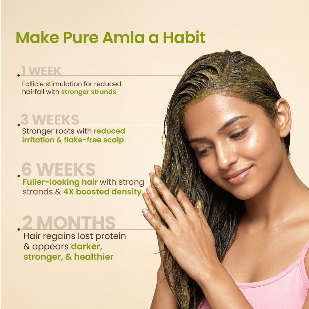 nat-habit-100-pure-amla-powder-125g-phyl-613Ww+NnnRL.jpg
