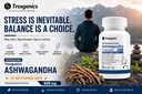trexgenics-ashwagandha-600-mg-5-withanol-71F0Gk5XTDL.jpg
