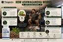 trexgenics-ashwagandha-600-mg-5-withanol-81YkVw8YKfL.jpg