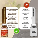 baidyanath-ayurved-ashwagandha-60-tablet-71dEo4zawFL.jpg