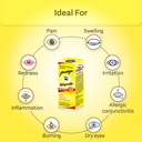 jiwadaya-ayurvedic-netraprabha-anjana-pl-61msAjC1jCL.jpg