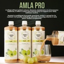 amla-pro-100-raw-cold-pressed-amla-juice-81IiTamCeaL.jpg