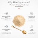 ayantara-himalayan-amla-powder-80g-100-o-71HJHZVqcDL.jpg
