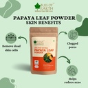 bliss-of-earth-100-pure-papaya-leaf-powd-71sqcDulv4L.jpg
