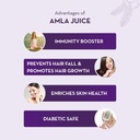 baidyanath-asli-ayurved-amla-juice-natur-71gKOdtY2OL.jpg