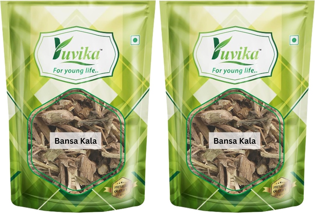 yuvika-bansa-kala-adhatoda-vasica-malaba-816jdZc+QYL.jpg