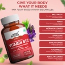 the-body-reserve-plant-based-vitamin-b12-7104K1Jz5-L.jpg